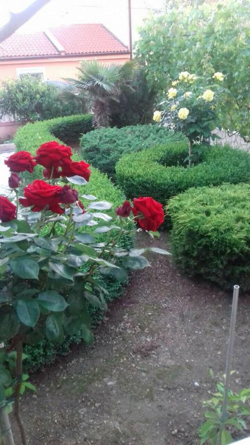 Apartmani Misak فرسي المظهر الخارجي الصورة